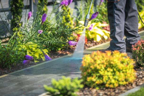 Best Dumpster Area Cleaning  in Norwood, NJ