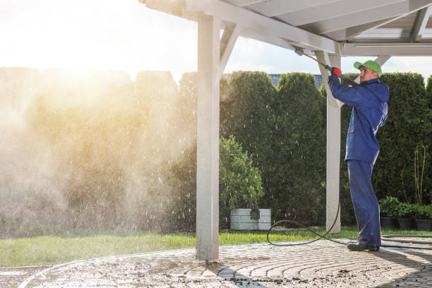 Best Graffiti Removal  in Norwood, NJ